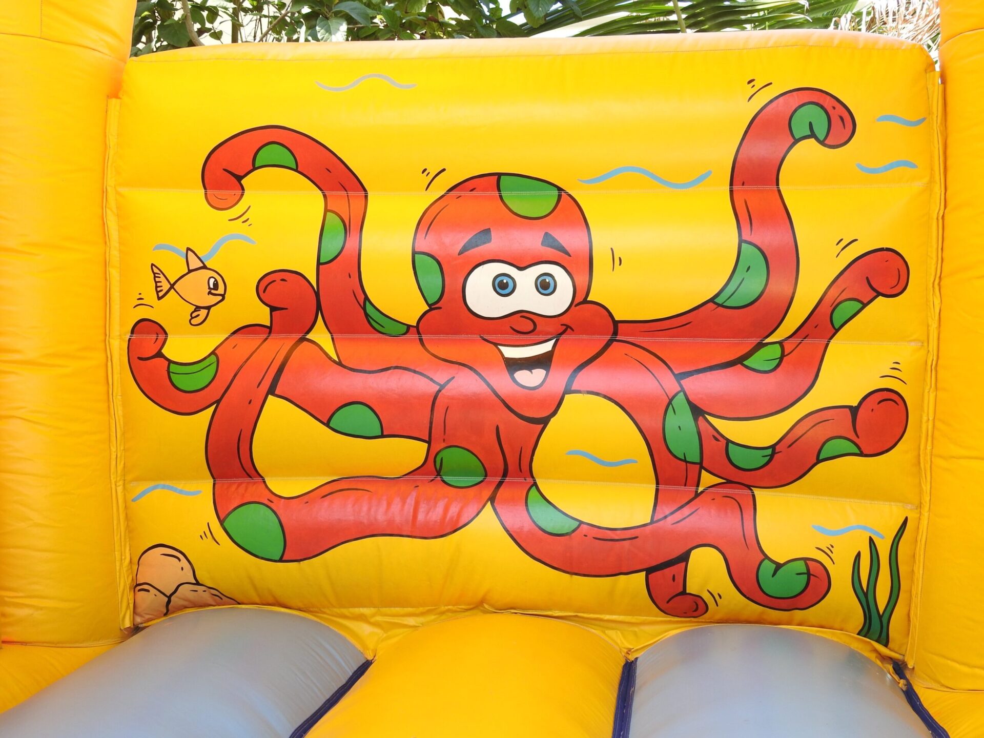 8 Sealife Octopus