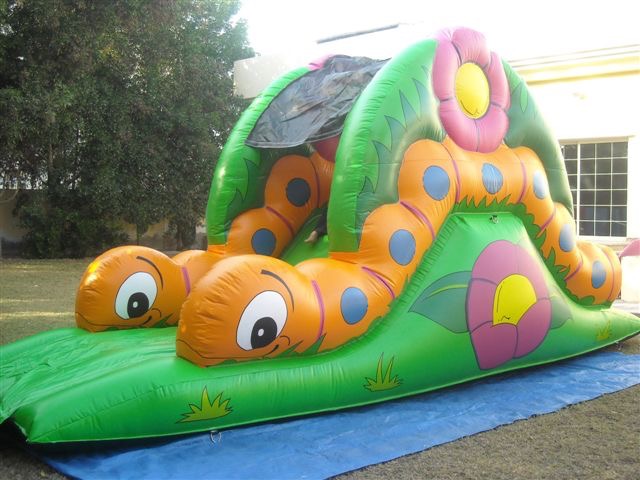 Baby Bug 1