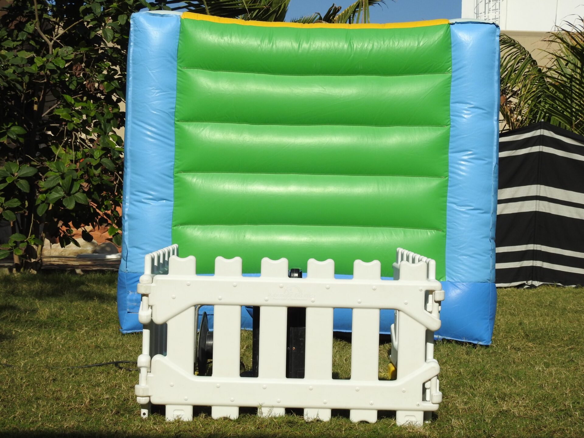 Toddler Teddy Rear